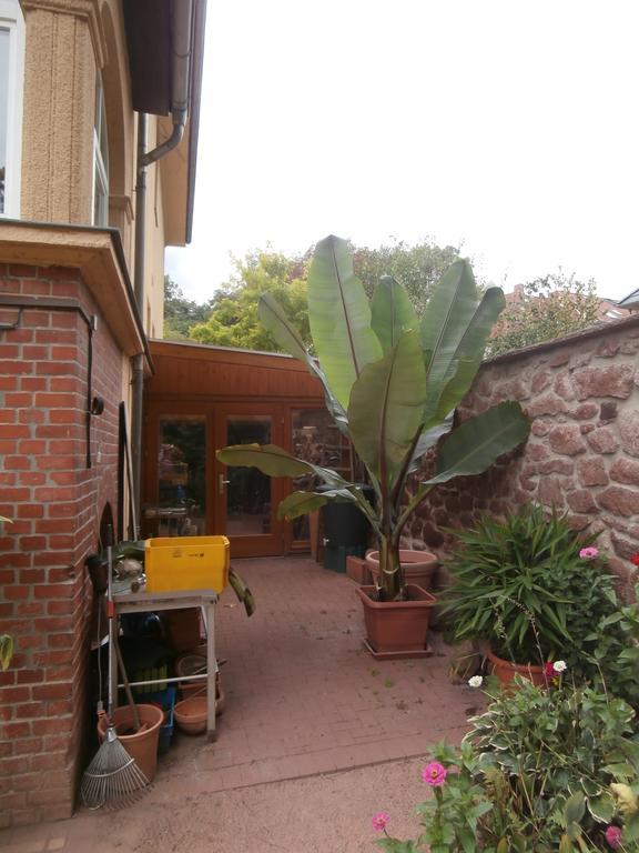 Ferienwohnung Saaleblick Halle  Εξωτερικό φωτογραφία